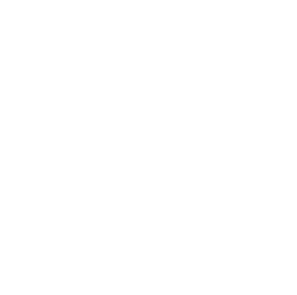 Zcash ZEC crypto coin